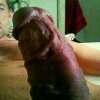 DICK WITH AMATEUR